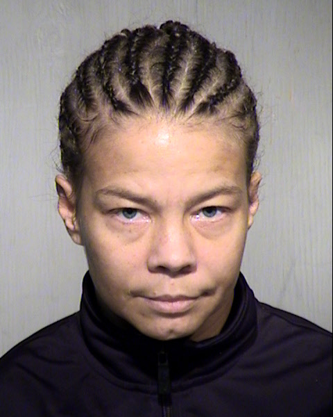 ERICA M YEE Mugshot / Maricopa County Arrests / Maricopa County Arizona