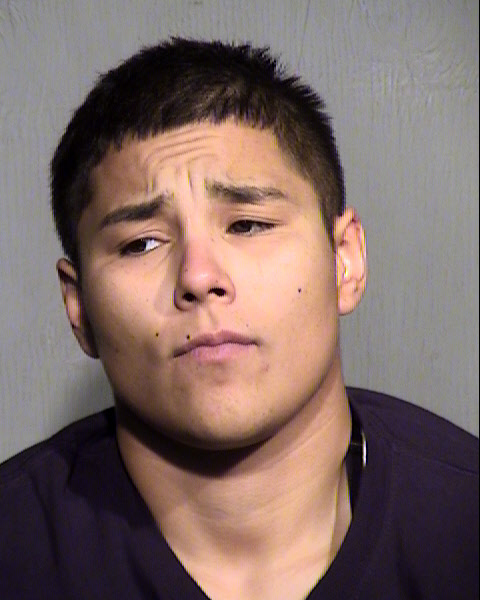 LYDIA R PEREA Mugshot / Maricopa County Arrests / Maricopa County Arizona