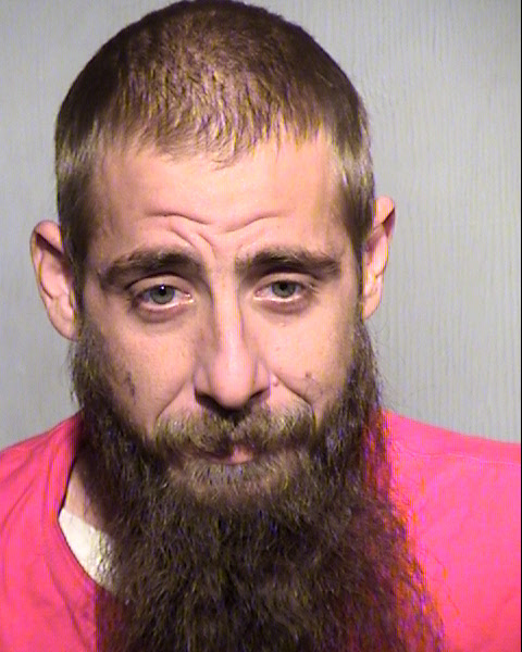 DAVID MICHAEL LEVINE Mugshot / Maricopa County Arrests / Maricopa County Arizona