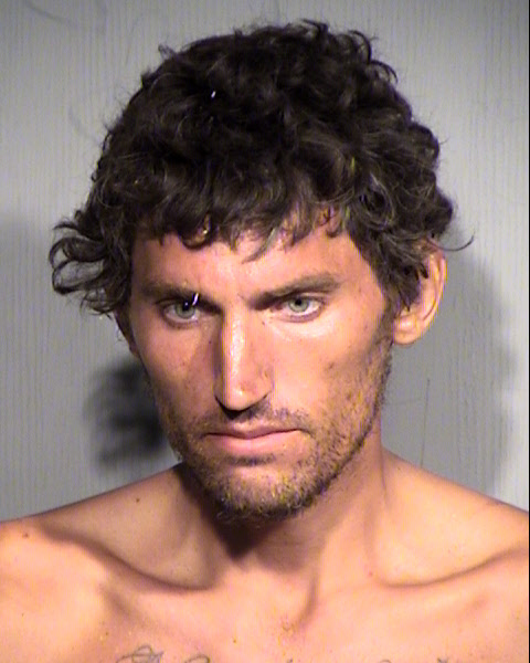 FRANCIS SKILNIK Mugshot / Maricopa County Arrests / Maricopa County Arizona