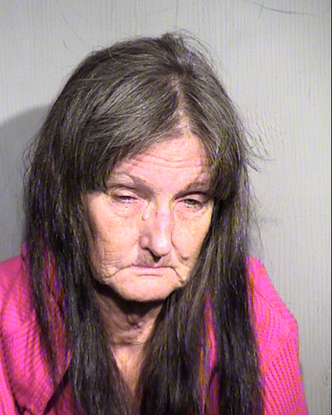 LESLIE ANN RAMSEY Mugshot / Maricopa County Arrests / Maricopa County Arizona