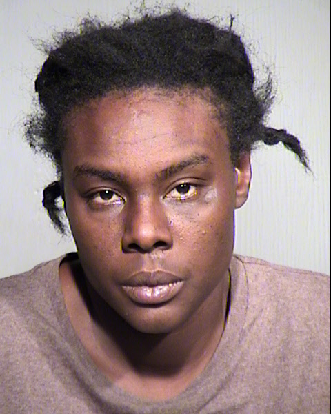 TAMISHA HOBSON Mugshot / Maricopa County Arrests / Maricopa County Arizona