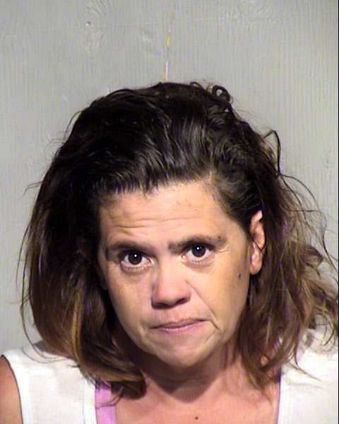 SHAY LYNN CONLEY Mugshot / Maricopa County Arrests / Maricopa County Arizona