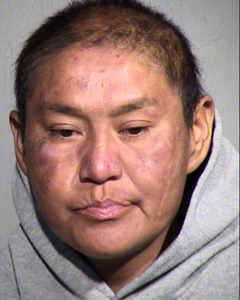 JANIS NEZ Mugshot / Maricopa County Arrests / Maricopa County Arizona