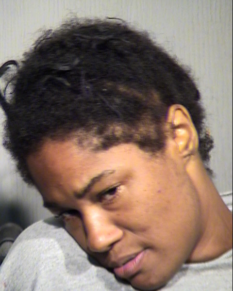 EMILY MARIA WILSON Mugshot / Maricopa County Arrests / Maricopa County Arizona