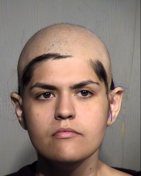 VENESSA GONZALEZ Mugshot / Maricopa County Arrests / Maricopa County Arizona