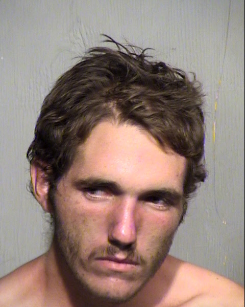 JAMES THOMAS HENRY Mugshot / Maricopa County Arrests / Maricopa County Arizona