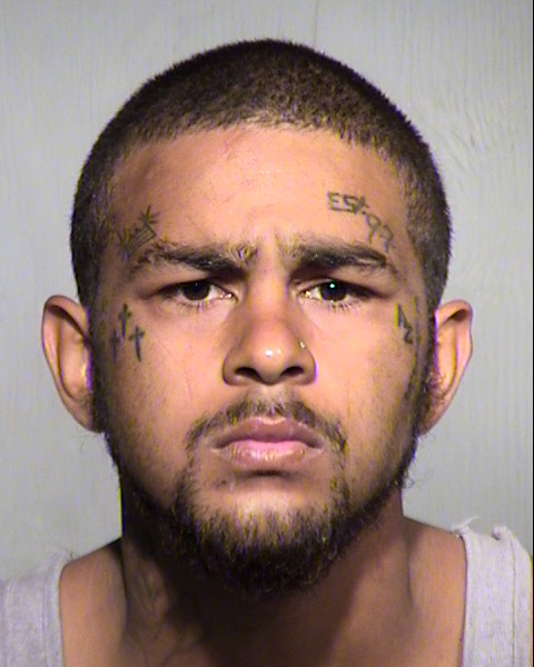 BRANDON LEE NOWLIN Mugshot / Maricopa County Arrests / Maricopa County Arizona