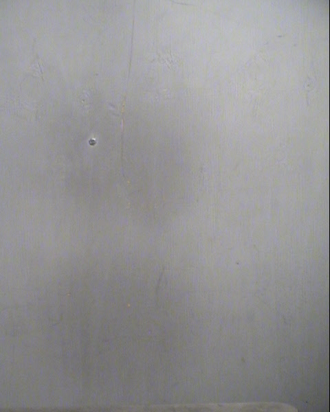 ADAM JEFFREY BLACK Mugshot / Maricopa County Arrests / Maricopa County Arizona