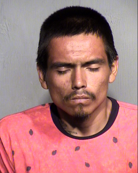 GILBERT LEWIS SPEELMAN Mugshot / Maricopa County Arrests / Maricopa County Arizona