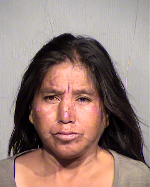 MICHELLE JEAN YAZZIE Mugshot / Maricopa County Arrests / Maricopa County Arizona