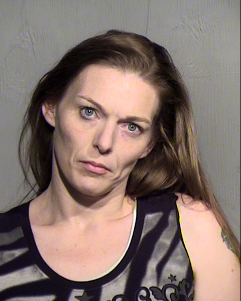 DAWN REBECCA PLASTER Mugshot / Maricopa County Arrests / Maricopa County Arizona