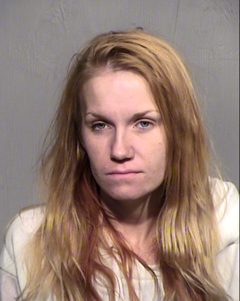 AMBER LYNN RHINEHART Mugshot / Maricopa County Arrests / Maricopa County Arizona