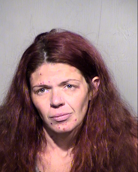 DANIELLE RAYANN GLAZEBROOK Mugshot / Maricopa County Arrests / Maricopa County Arizona