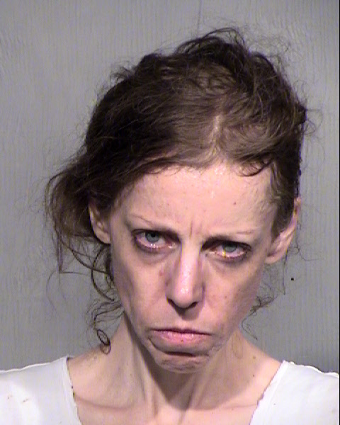 KATHRYN FRANCES HERMAN Mugshot / Maricopa County Arrests / Maricopa County Arizona