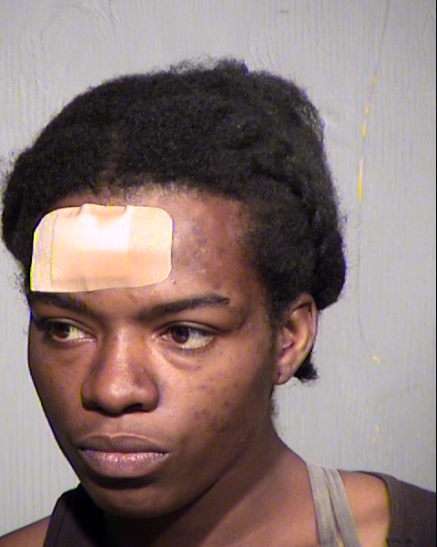 DANICKA SHANEL WASHINGTON Mugshot / Maricopa County Arrests / Maricopa County Arizona Arrests DANICKA SHANEL WASHINGTON Mugshot / Maricopa County Arrests / Maricopa County Arizona