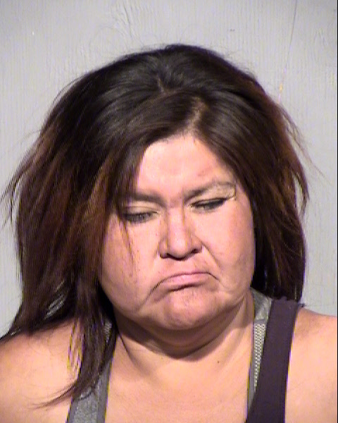 HEATHER HEATHER IVINS Mugshot / Maricopa County Arrests / Maricopa County Arizona