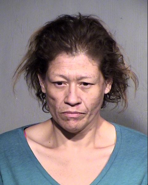 VERONICA SALAZAR Mugshot / Maricopa County Arrests / Maricopa County Arizona