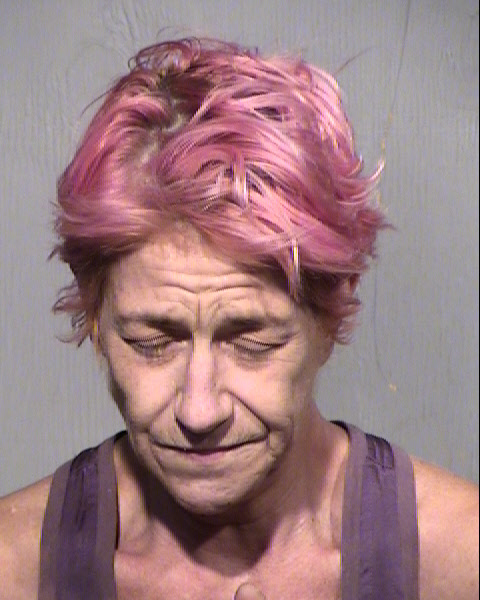 TRACI JENE WILLUMSEN Mugshot / Maricopa County Arrests / Maricopa County Arizona