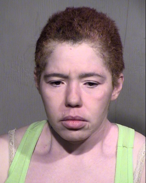 FELISHA BROOK HARLAN Mugshot / Maricopa County Arrests / Maricopa County Arizona