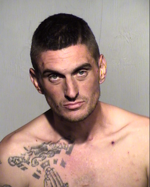 MICHAEL JAMES SAVINO Mugshot / Maricopa County Arrests / Maricopa County Arizona