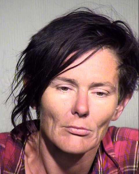 ASHLEY FAWN WIDGEON Mugshot / Maricopa County Arrests / Maricopa County Arizona