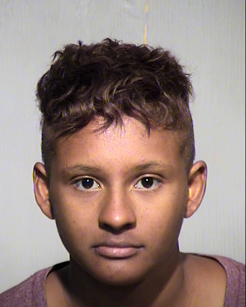 AMANDA JANAL WEATHERSPOON Mugshot / Maricopa County Arrests / Maricopa County Arizona