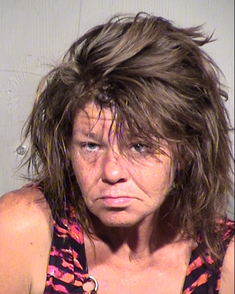 LAINA LANDERS Mugshot / Maricopa County Arrests / Maricopa County Arizona Arrests LAINA LANDERS Mugshot / Maricopa County Arrests / Maricopa County Arizona