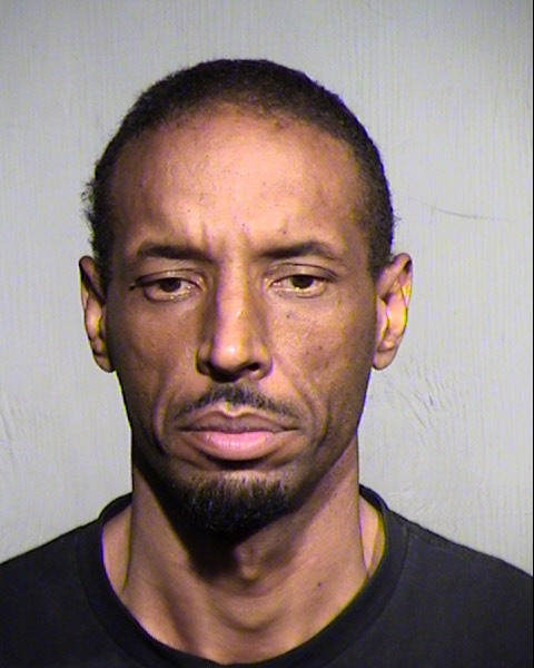 TERRENCE L GREEN Mugshot / Maricopa County Arrests / Maricopa County Arizona