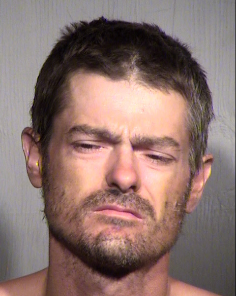 GEOFFREY ARNOLD WILLIPFISTER Mugshot / Maricopa County Arrests / Maricopa County Arizona