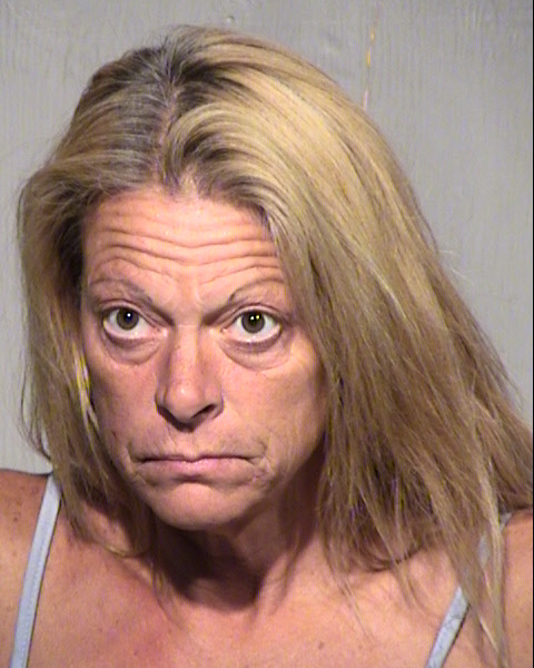 MELISSA ANN LINTON Mugshot / Maricopa County Arrests / Maricopa County Arizona