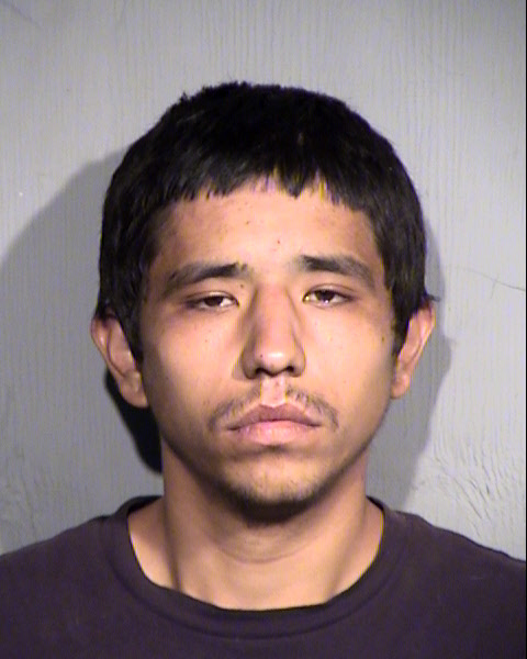 FELIX MICHAELESCOBCASTRO Mugshot / Maricopa County Arrests / Maricopa County Arizona