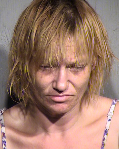 DANA MICHELLE FORISTER Mugshot / Maricopa County Arrests / Maricopa County Arizona