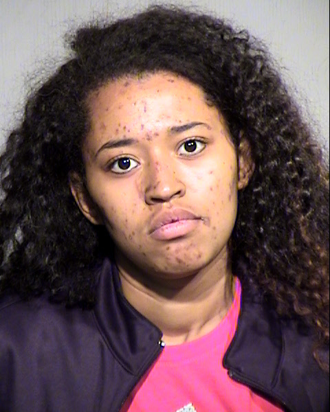 PARIS ANNE HUDSON Mugshot / Maricopa County Arrests / Maricopa County Arizona