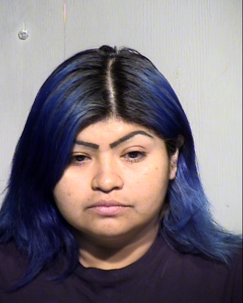 YOLANDA SYLVIA NANCYROMERO Mugshot / Maricopa County Arrests / Maricopa County Arizona