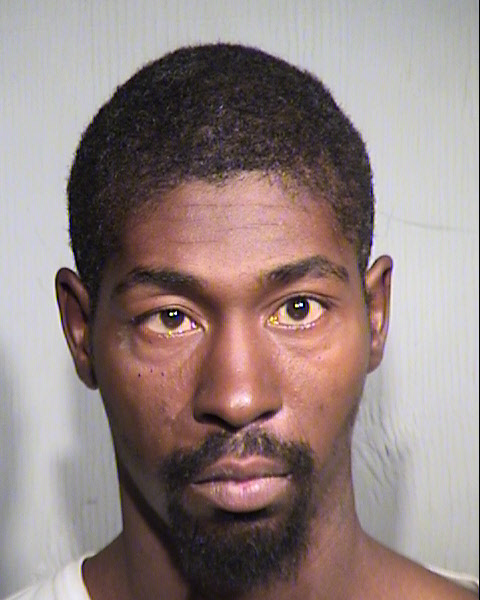 JOSHUA LEVEL WILSON Mugshot / Maricopa County Arrests / Maricopa County Arizona