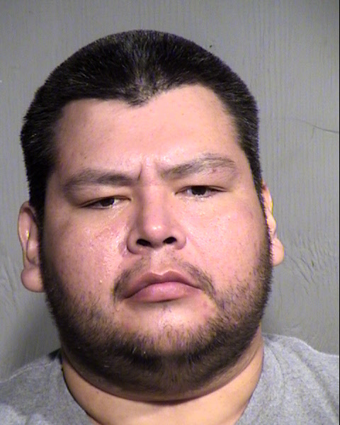 STEVEN MICHAEL LEWIS Mugshot / Maricopa County Arrests / Maricopa County Arizona