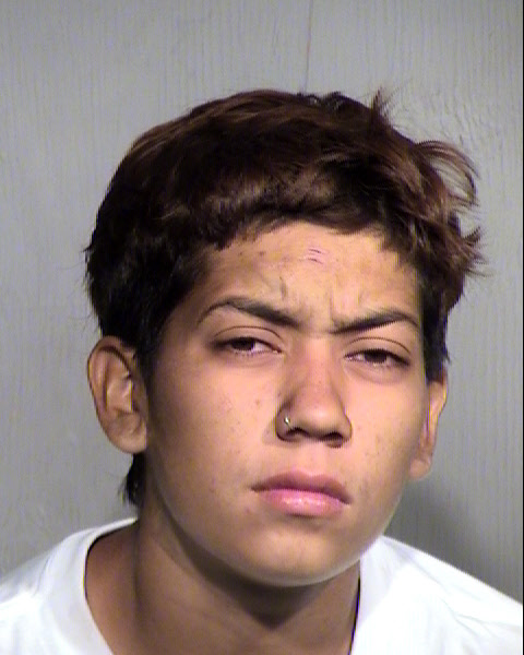 REYNA VALERIE CABALLERO Mugshot / Maricopa County Arrests / Maricopa County Arizona