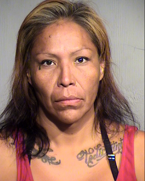 PAMELA JAMES Mugshot / Maricopa County Arrests / Maricopa County Arizona