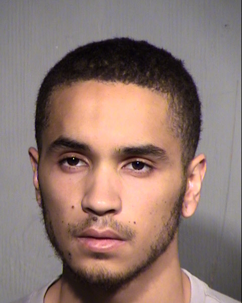 DYLAN JACOB ELLINGSON Mugshot / Maricopa County Arrests / Maricopa County Arizona