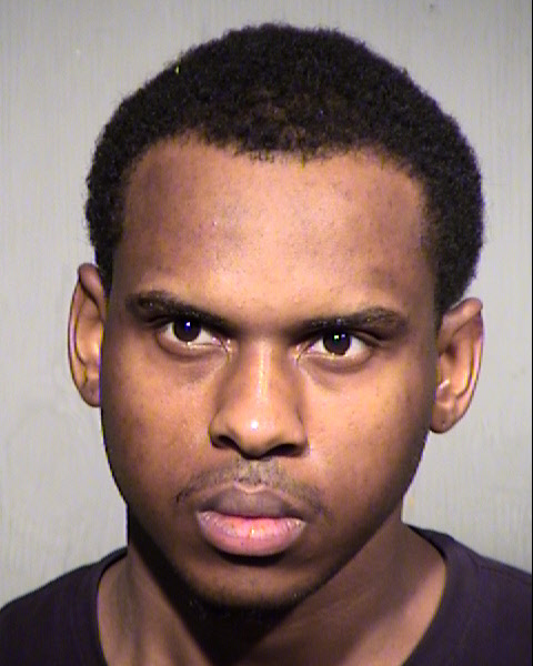 JOSHUA FRED EVANS Mugshot / Maricopa County Arrests / Maricopa County Arizona