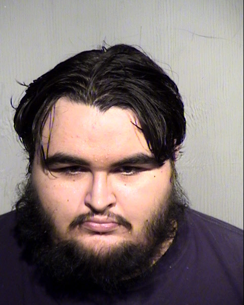 ALEXANDER NICHOLAS JAMES Mugshot / Maricopa County Arrests / Maricopa County Arizona