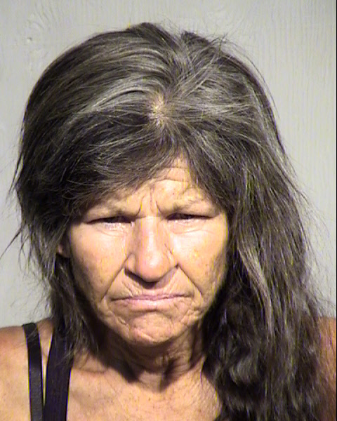 ELIZABETH ANNE WAUN Mugshot / Maricopa County Arrests / Maricopa County Arizona