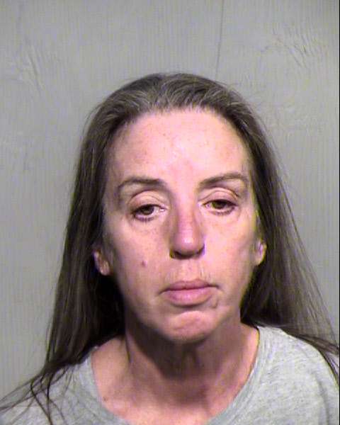 ELIZABETH S HANNA Mugshot / Maricopa County Arrests / Maricopa County Arizona