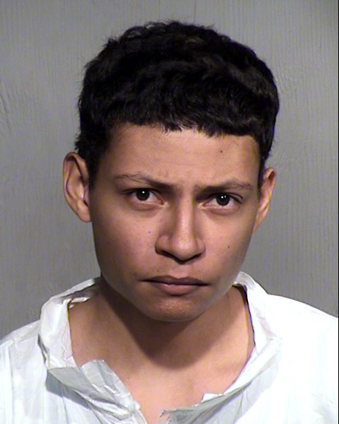 BRANDON ELI JAMES Mugshot / Maricopa County Arrests / Maricopa County Arizona