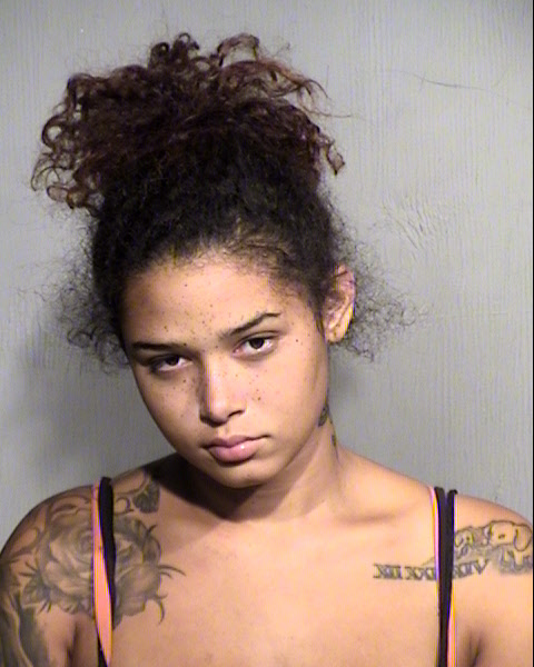ALICIA MARIE FRICKS Mugshot / Maricopa County Arrests / Maricopa County Arizona