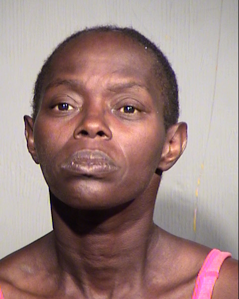 HATTIE LEE WILLIAMS Mugshot / Maricopa County Arrests / Maricopa County Arizona