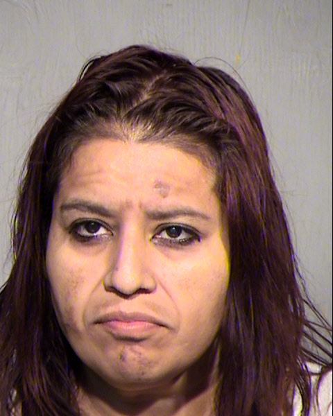 MICHELLE SUE ORTIZ Mugshot / Maricopa County Arrests / Maricopa County Arizona