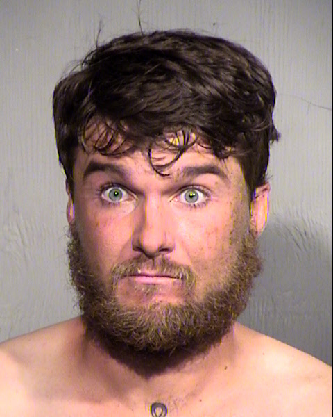 WILLIAM TYLER STRICKLAND Mugshot / Maricopa County Arrests / Maricopa County Arizona