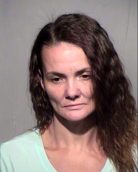 AMY LYNN DISON Mugshot / Maricopa County Arrests / Maricopa County Arizona